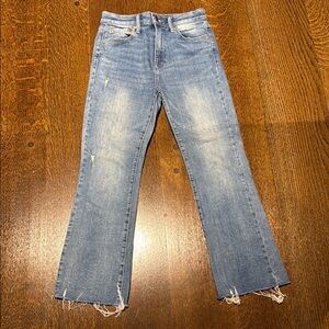 Pistola Blue Flare Wide Leg Jeans